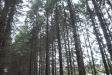 P1040558_small