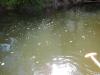 DSCN3397_small.jpg<br>2018:08:22 16:30:12.969Z<br><a target=_blank href=https://www.google.com/maps?t=k&q=loc:44.000239+-84.506525&z=17>44.000239, -84.506525</a><br>Facing: 198 deg<br>