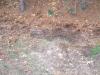 DSCF2654_small