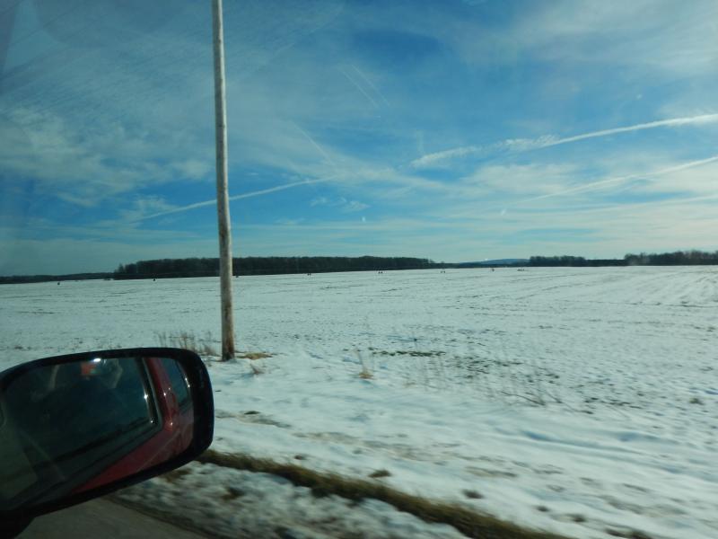 DSCN4767_small