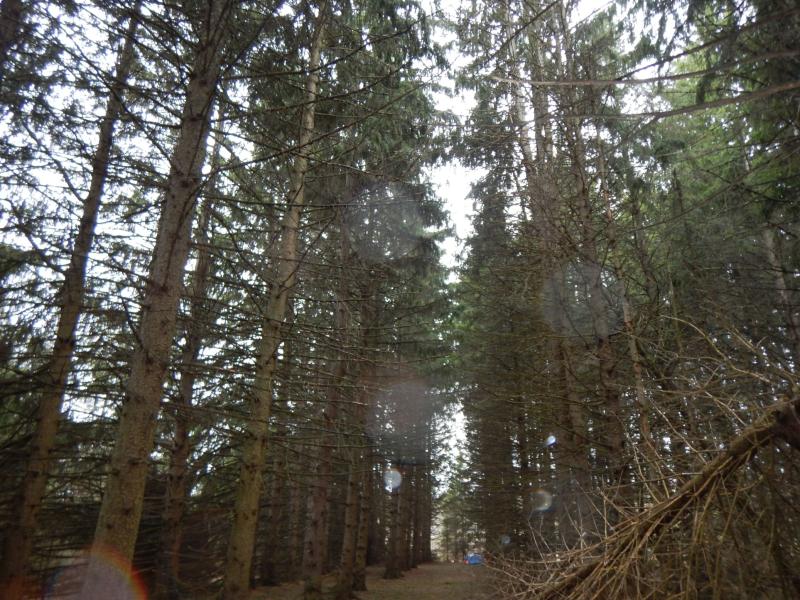 DSCN5841_small
