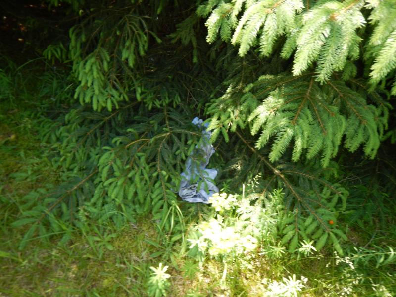 DSCN8849_small
