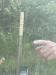 IMG_1289_small.jpg<br>Missing GPS Time<br>Missing GPS Data<br>--- deg<br>