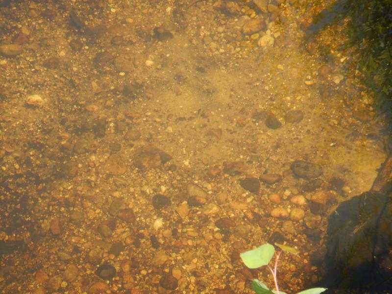 DSCN2673_small