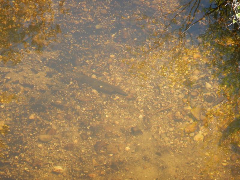 DSCN2674_small