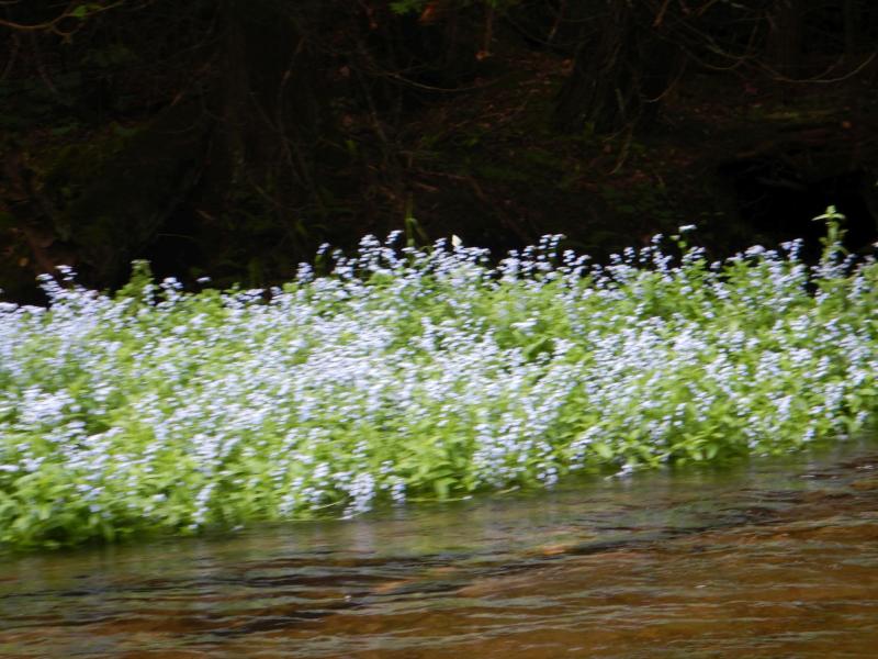 DSCN3431_small