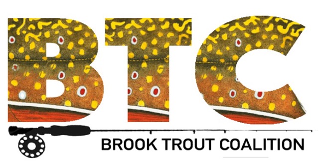 The Brook Trout Coalition congratulates the Boardman River Clean Sweep for preserving the Boardman River for 15 years.
